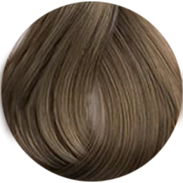 8/71 Light Ash Chesnut Blonde
