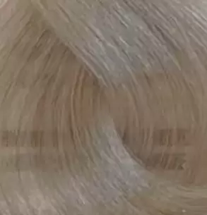 10.1 Пепельный экстра светлый блонд