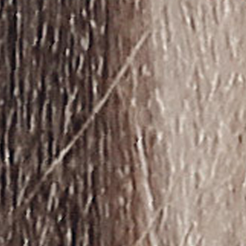 картинка 10.18 Кондиционирующий оттеночный колор-гель для волос ColorGlaze, очень-очень светлый блондин пепельно-коричневый, 60 мл