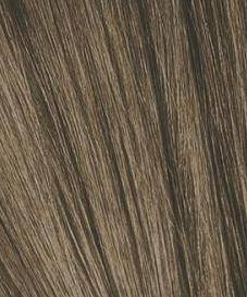8-4 Светлый русый бежевый