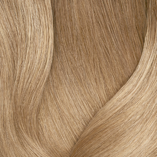 509NA очень светлый блондин натуральный пепельный 100% покрытие седины - 509.01