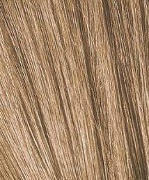 8-65 Светлый русый шоколадный золотистый