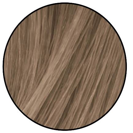 9A очень светлый блондин пепельный - 9.1