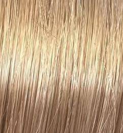 9/00 Очень светлый блонд натуральный интенсивный