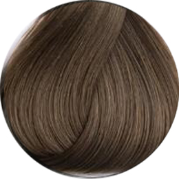 картинка 8/1 Стойкий тонирующий глосс-гель Jelly Gloss, 60 мл