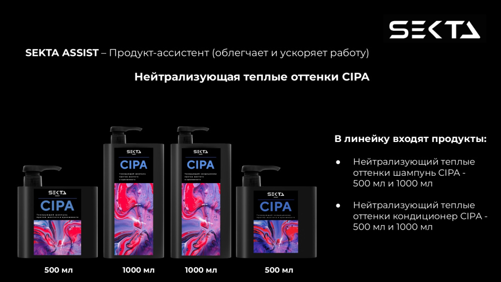 Презентация SEKTA_page-0013.jpg