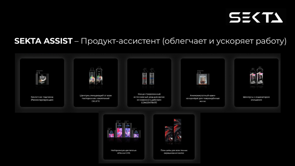 Презентация SEKTA_page-0007.jpg