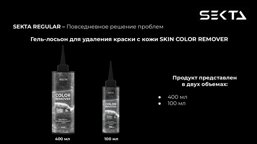 Презентация SEKTA_page-0022.jpg