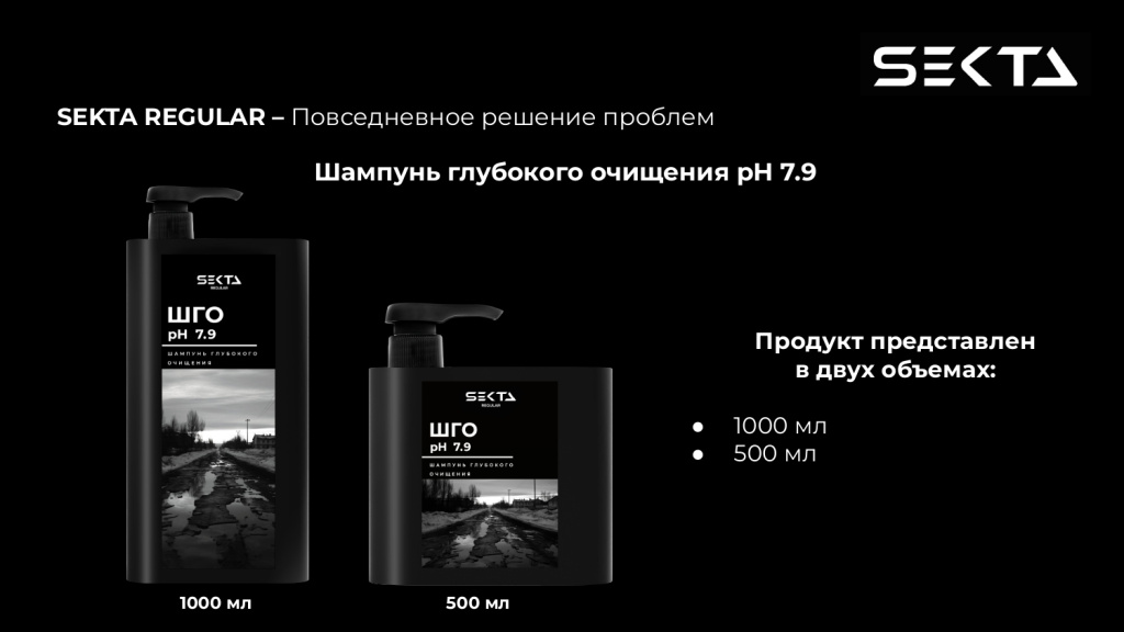 Презентация SEKTA_page-0024.jpg