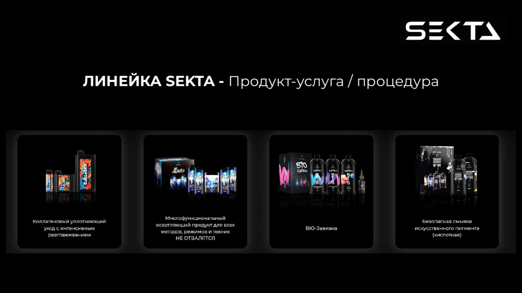 Презентация SEKTA_page-0002.jpg