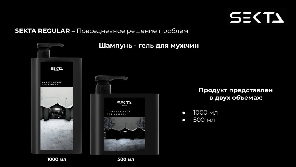 Презентация SEKTA_page-0021.jpg