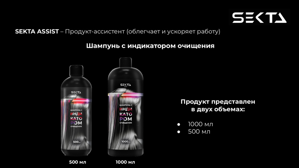 Презентация SEKTA_page-0012.jpg