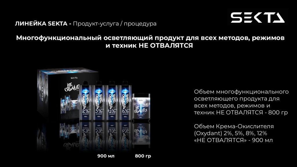 Презентация SEKTA_page-0004.jpg