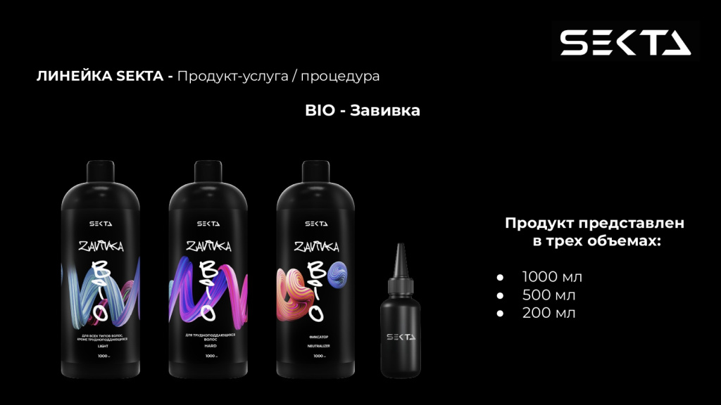 Презентация SEKTA_page-0005.jpg