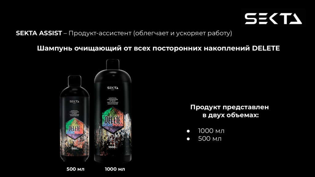 Презентация SEKTA_page-0009.jpg