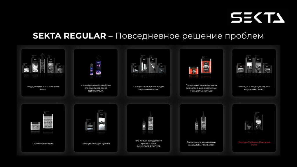 Презентация SEKTA_page-0014.jpg