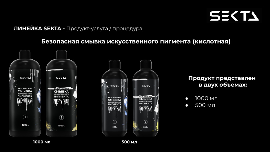 Презентация SEKTA_page-0006.jpg