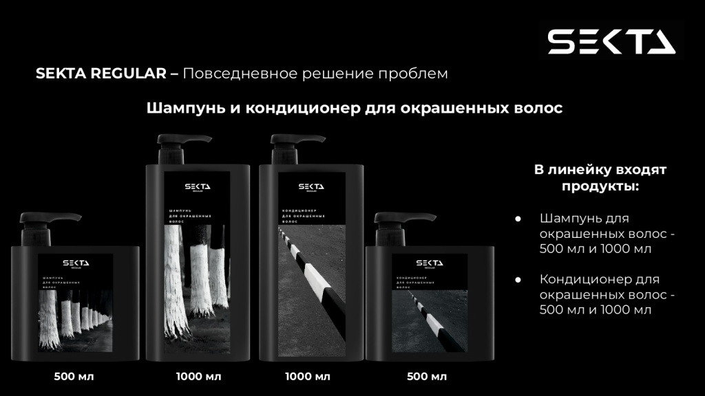 Презентация SEKTA_page-0017.jpg