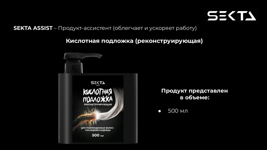 Презентация SEKTA_page-0008.jpg