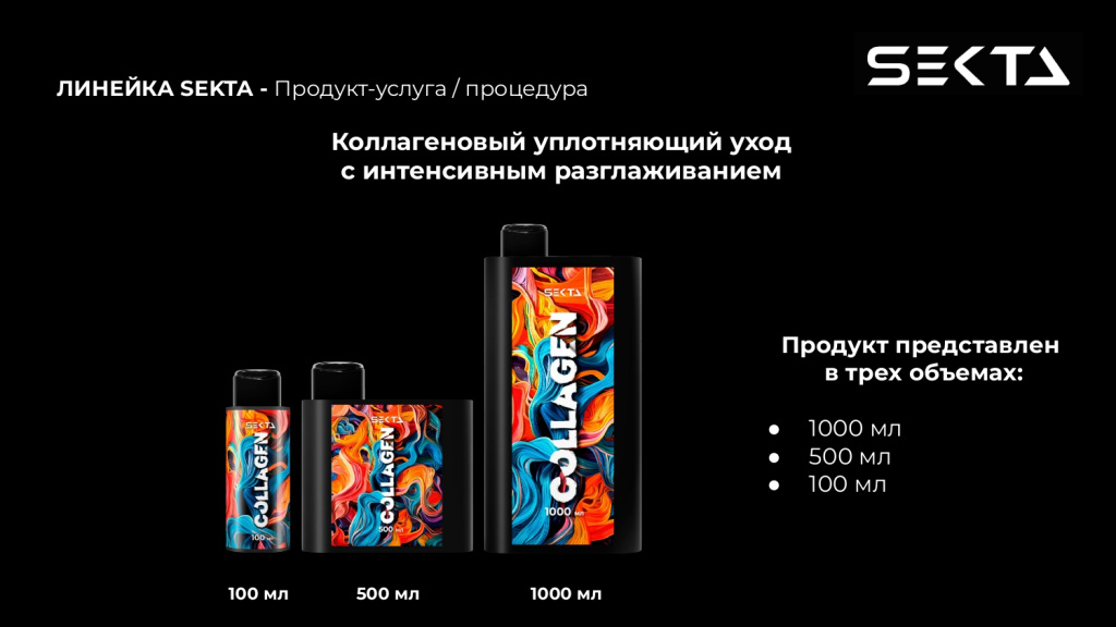 Презентация SEKTA_page-0003.jpg