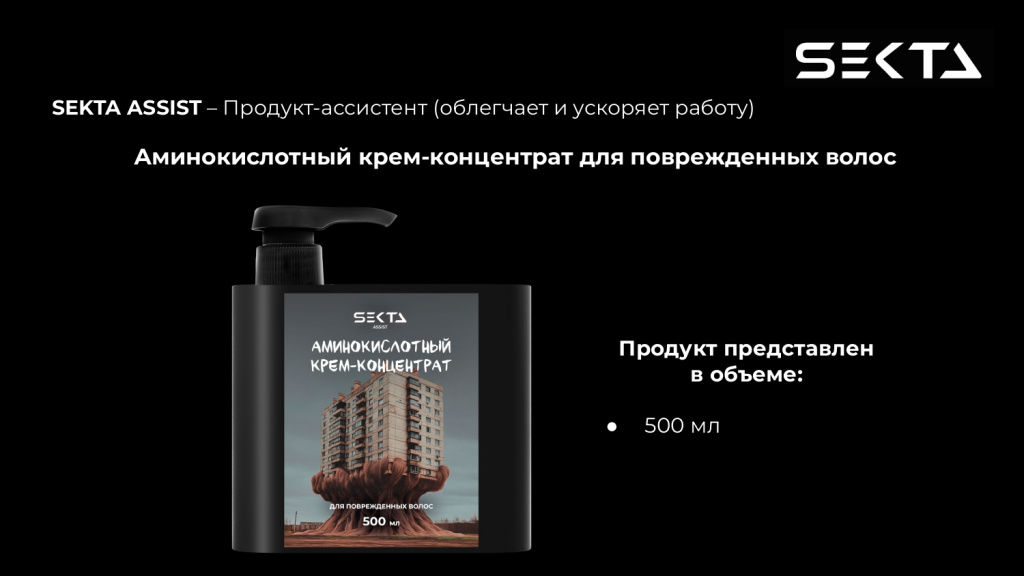 Презентация SEKTA_page-0011.jpg