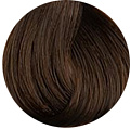 6/7 Dark Chestnut Blonde,