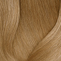508NW светлый блондин натуральный теплый 100% покрытие седины - 508.03