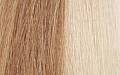 8.3 Светлый блондин золотистый
