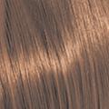 8.7 8CH Light.Blonde.Chocolate