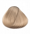 10.8 Экстра светлый блондин коричневый