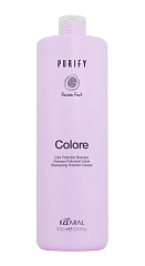 Шампунь для окрашенных волос на основе фруктовых кислот ежевики Color Protection Shampoo, 1000 мл