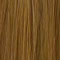 7.03 / 7NG Medium Blonde Natural Gold