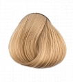 10.00 Экстра светлый блондин натуральный для седых волос