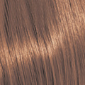 8.73 8CHG Light.Blonde.Chocolate.Gold