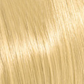 10.03 10NG Platinum.Blonde.Natural.Gold
