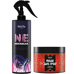 Набор средств дляухода за волосами: спрей 400 мл + маска 300 мл