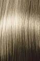 10.0 Натуральный Платиновый Блондин