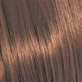 7.73 7CHG Medium.Blonde.Chocolate.Gold