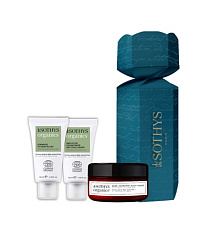 S920471  Набор Рождество Organics  3 поз.