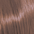 8.13 8AG Light.Blonde.Ash.Gold