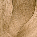 10NW очень-очень светлый блондин натуральный теплый - 10.03
